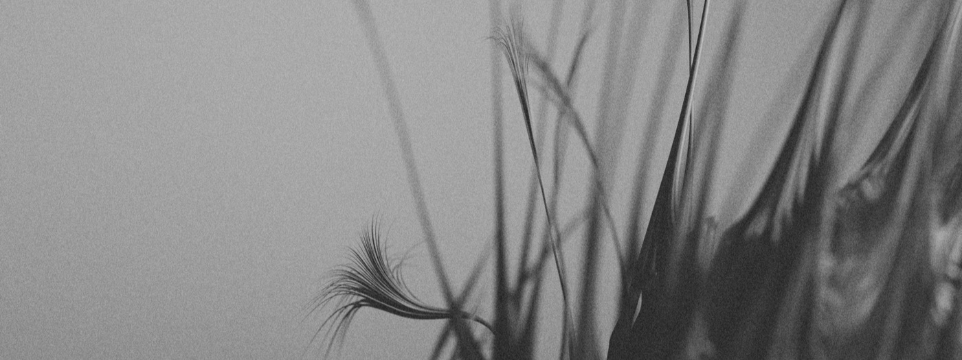 A detail from the artwork for leave.