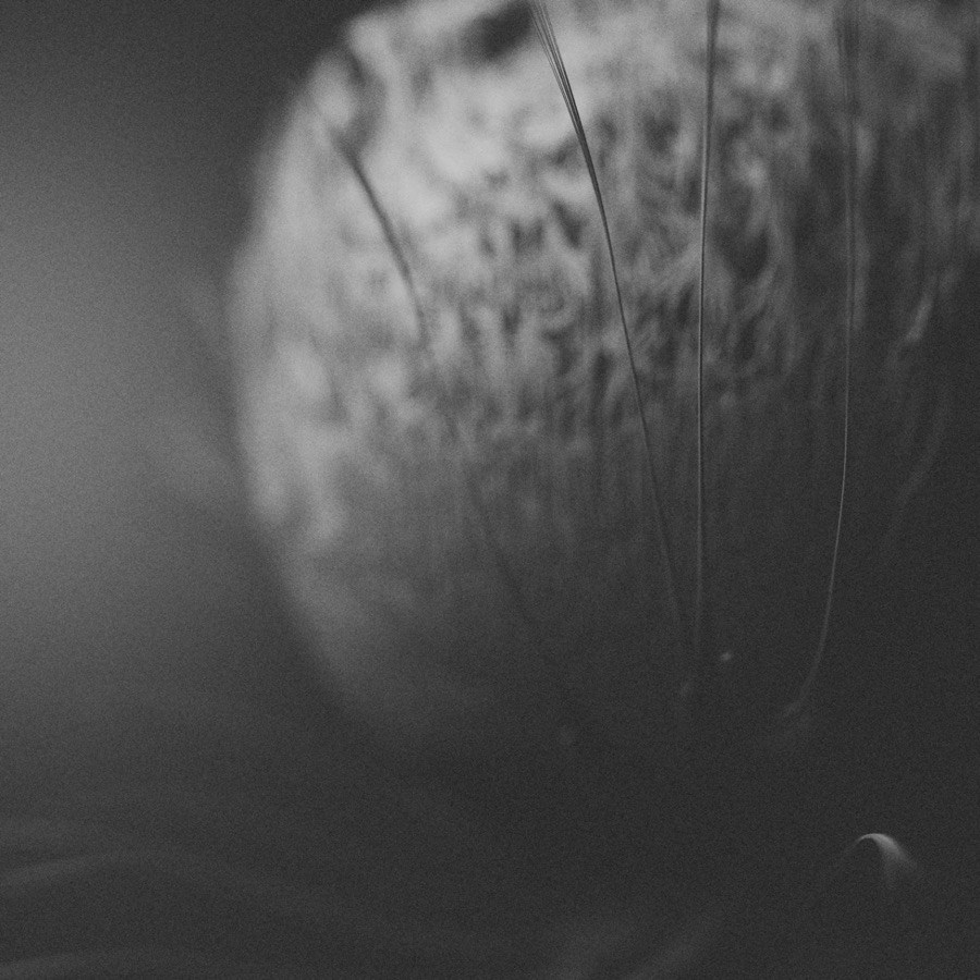 Cover artwork for the single places: a soft-focus black-and-white photograph of a textured sphere behind fine filaments.